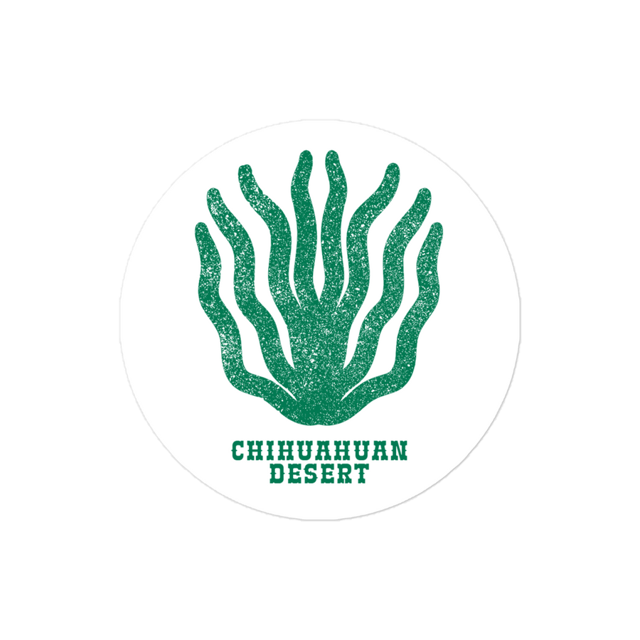 Chihuahuan Desert