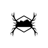 Organ Mountain Antlers