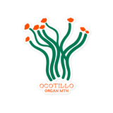 Ocotillo