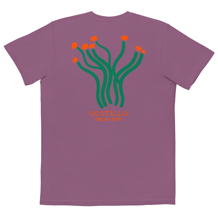 Ocotillo