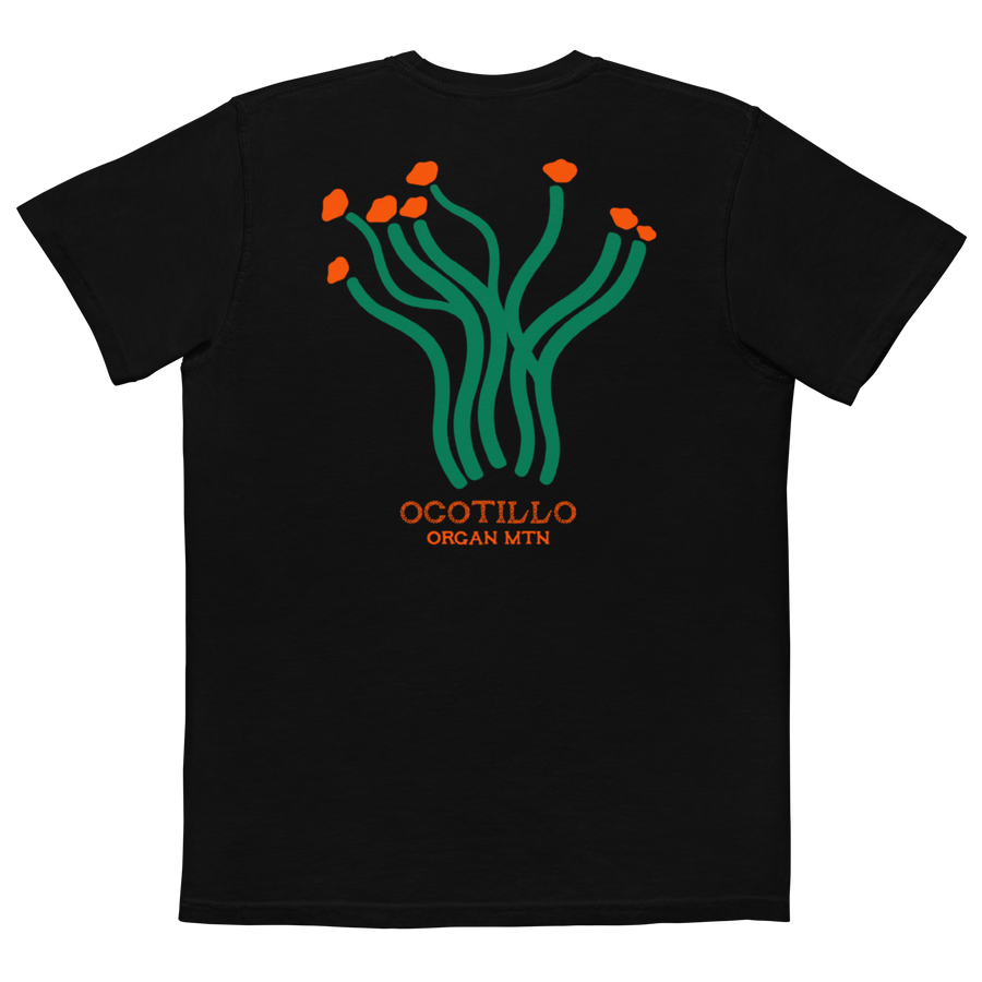 Ocotillo
