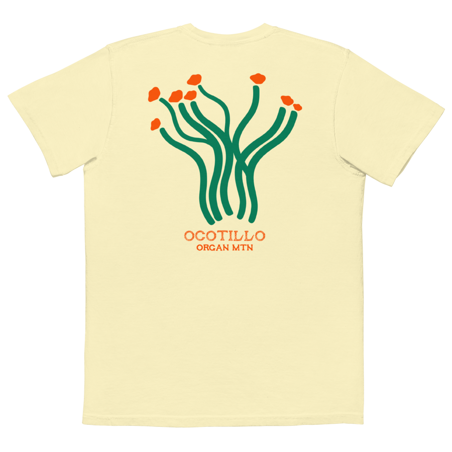 Ocotillo
