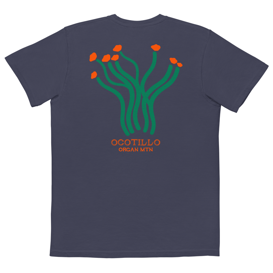 Ocotillo