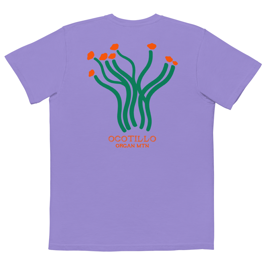 Ocotillo