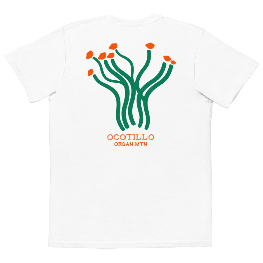 Ocotillo