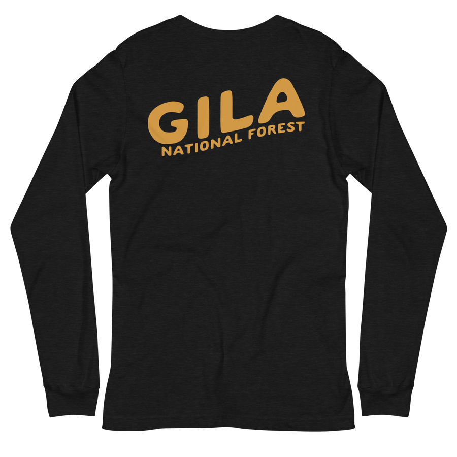 Gila National Forest