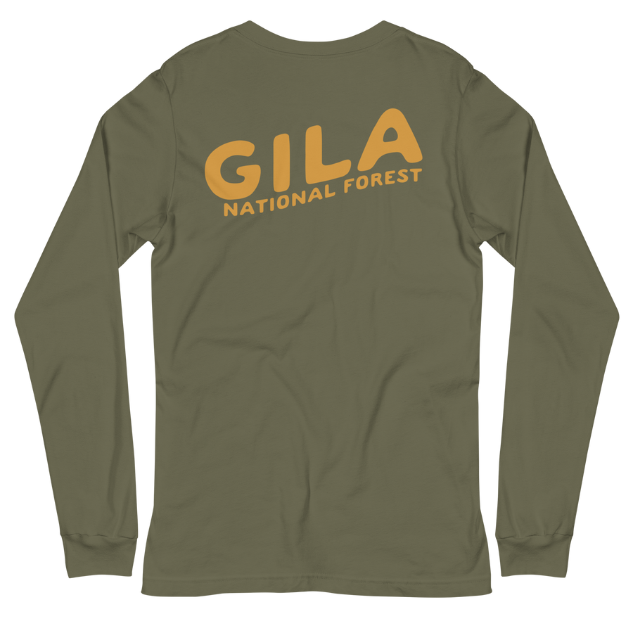 Gila National Forest