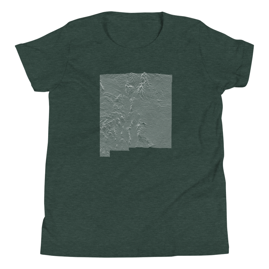 New Mexico Layers | Youth Tee